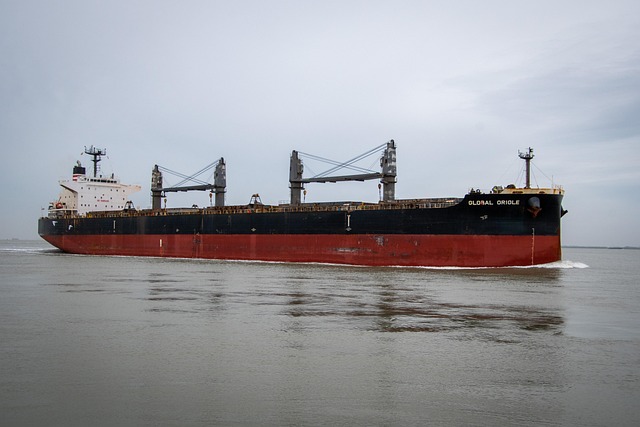 ship.bulkl Fortis Security Group